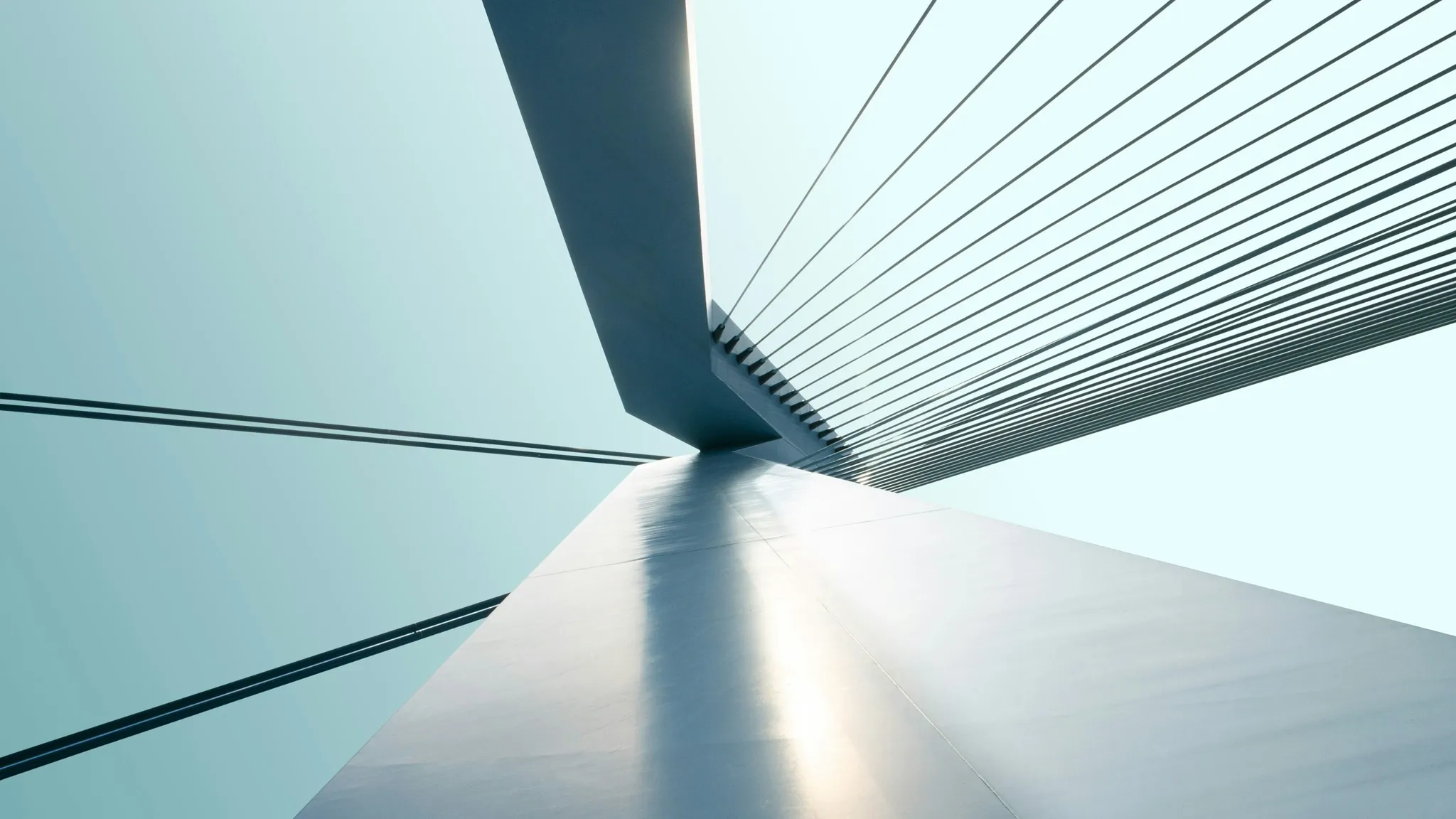 BRIDGES TOWER FROM THE FROG'S PERSPECTIVE.